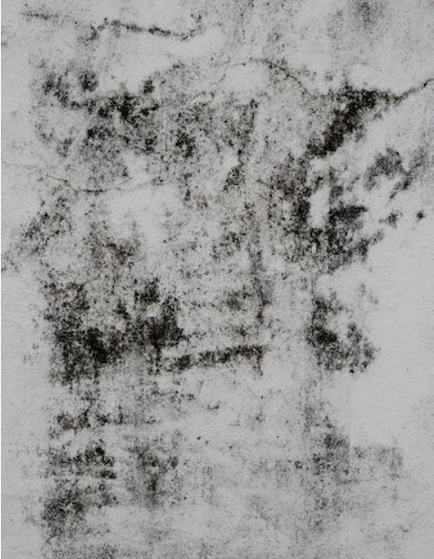Traitement des remontées capillaires par imperméabilisation des murs enterrés à La Seyne sur Mer dans le Var