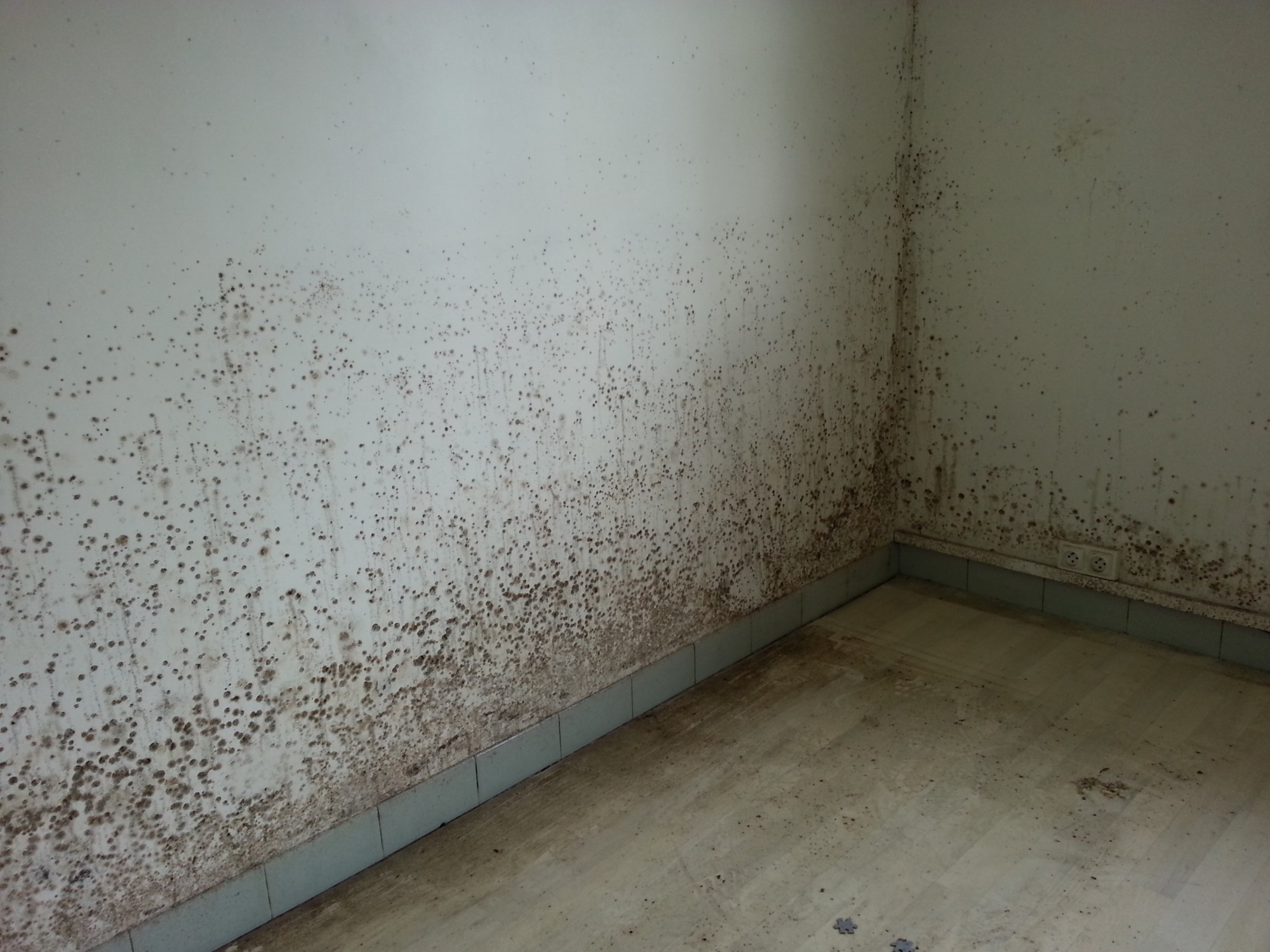 Problèmes de moisissures sur les murs d'une maison dans le 83