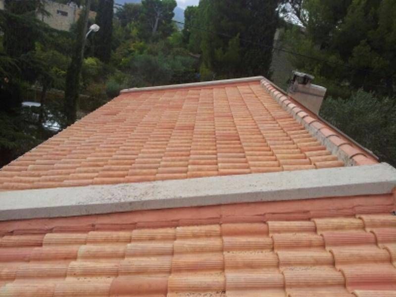 nettoyage des tuiles par Piacentino et fils