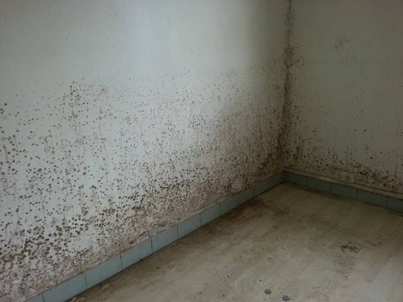 VENTILATION POSITIVE DE L'HABITAT PAR SURPRESSION : comment ça marche ?