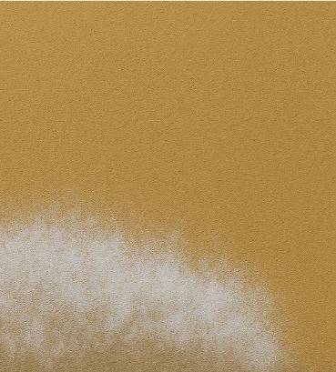 Humidité ascensionnelle à Toulon dans le 83 et traitement par injection 