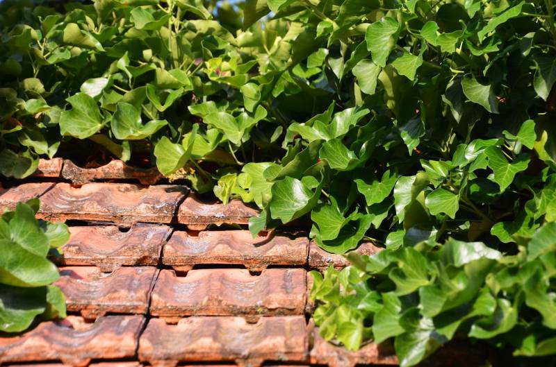 Tarif d'un démoussage et d'une hydrofugation de toiture à Hyères dans le 83