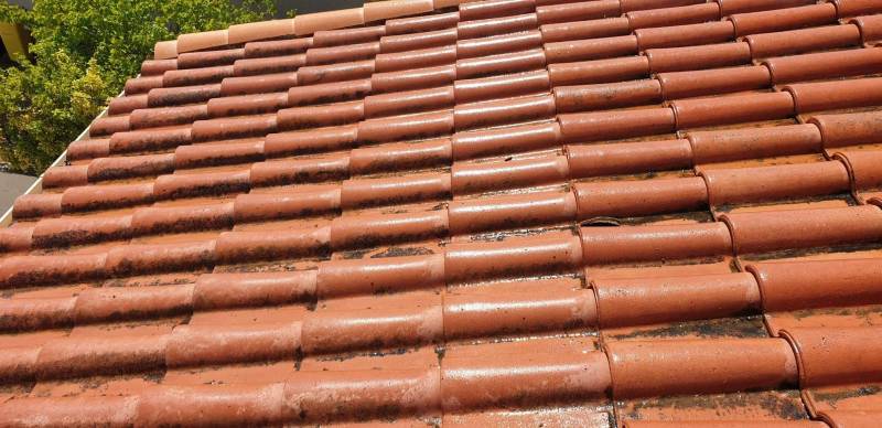 Tarif sur La Ciotat pour faire démousser et imperméabiliser ses tuiles