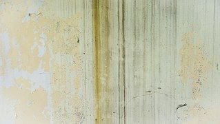 Société spécialisée dans le traitement de l'humidité près de Hyères